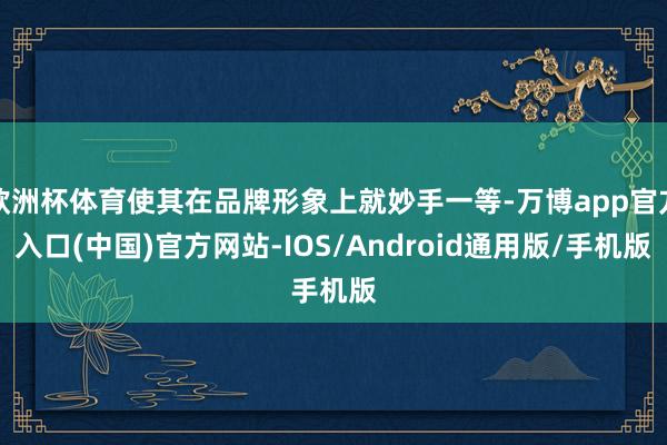欧洲杯体育使其在品牌形象上就妙手一等-万博app官方入口(中国)官方网站-IOS/Android通用版/手机版