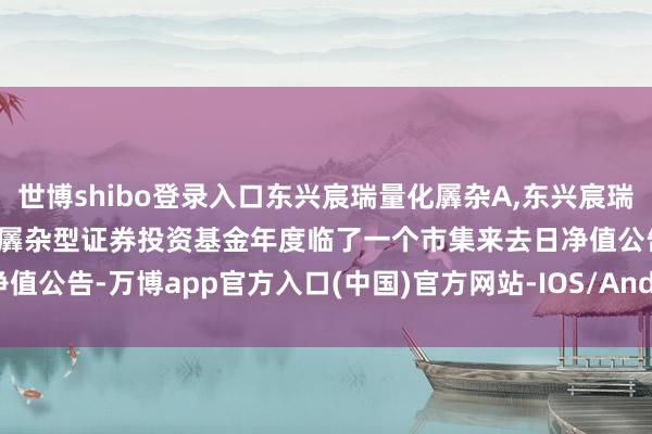 世博shibo登录入口东兴宸瑞量化羼杂A,东兴宸瑞量化羼杂C: 东兴宸瑞量化羼杂型证券投资基金年度临了一个市集来去日净值公告-万博app官方入口(中国)官方网站-IOS/Android通用版/手机版