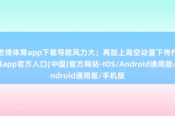 世博体育app下载导致风力大；再加上高空动量下传作用-万博app官方入口(中国)官方网站-IOS/Android通用版/手机版