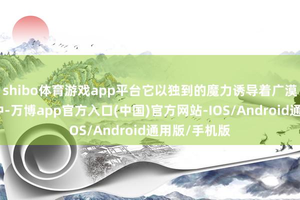 shibo体育游戏app平台它以独到的魔力诱导着广漠玩家投身其中-万博app官方入口(中国)官方网站-IOS/Android通用版/手机版