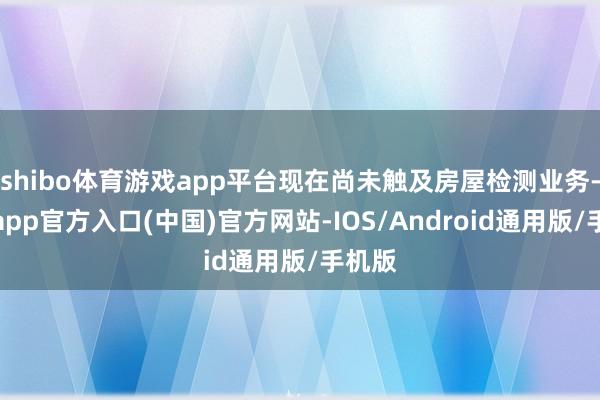 shibo体育游戏app平台现在尚未触及房屋检测业务-万博app官方入口(中国)官方网站-IOS/Android通用版/手机版