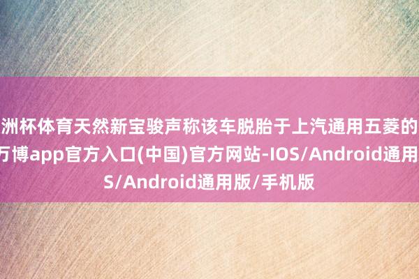 欧洲杯体育天然新宝骏声称该车脱胎于上汽通用五菱的全新R平台-万博app官方入口(中国)官方网站-IOS/Android通用版/手机版