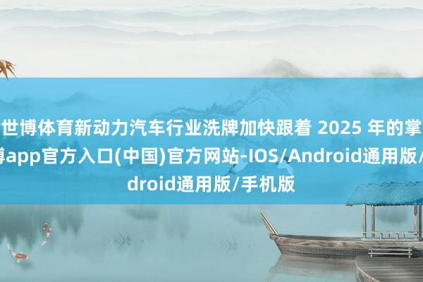 世博体育新动力汽车行业洗牌加快跟着 2025 年的掌握-万博app官方入口(中国)官方网站-IOS/Android通用版/手机版