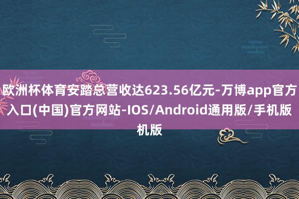 欧洲杯体育安踏总营收达623.56亿元-万博app官方入口(中国)官方网站-IOS/Android通用版/手机版