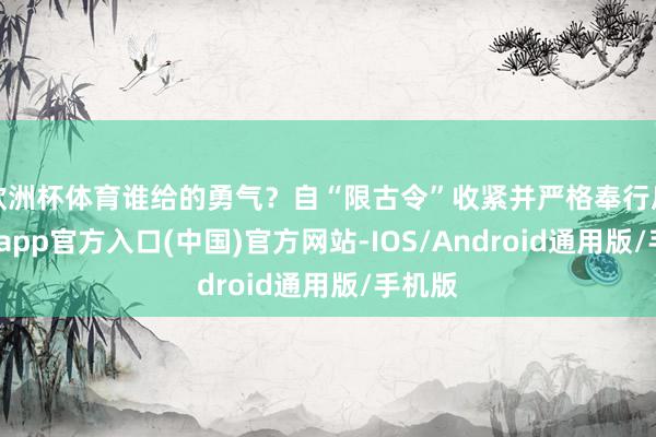 欧洲杯体育谁给的勇气？自“限古令”收紧并严格奉行后-万博app官方入口(中国)官方网站-IOS/Android通用版/手机版