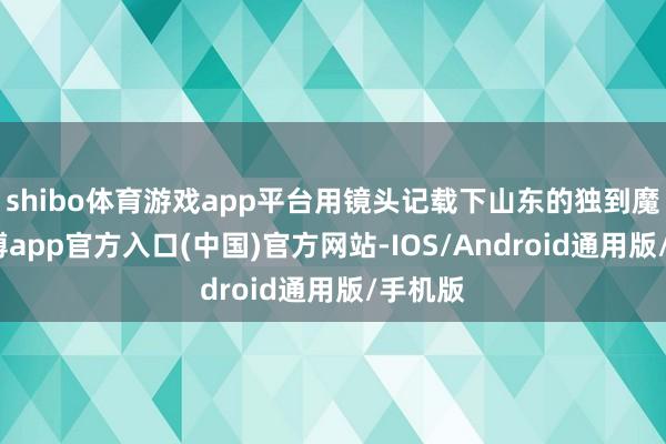 shibo体育游戏app平台用镜头记载下山东的独到魔力-万博app官方入口(中国)官方网站-IOS/Android通用版/手机版