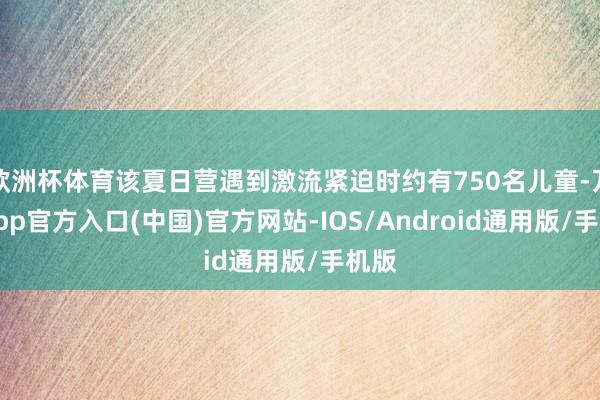 欧洲杯体育该夏日营遇到激流紧迫时约有750名儿童-万博app官方入口(中国)官方网站-IOS/Android通用版/手机版