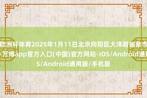 欧洲杯体育2025年1月11日北京向阳区大洋路抽象市集价钱行情-万博app官方入口(中国)官方网站-IOS/Android通用版/手机版