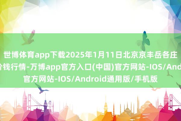 世博体育app下载2025年1月11日北京京丰岳各庄农副居品批发市集价钱行情-万博app官方入口(中国)官方网站-IOS/Android通用版/手机版