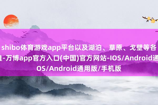 shibo体育游戏app平台以及湖泊、草原、戈壁等各种化的景不雅-万博app官方入口(中国)官方网站-IOS/Android通用版/手机版