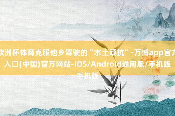欧洲杯体育克服他乡驾驶的“水土顽抗”-万博app官方入口(中国)官方网站-IOS/Android通用版/手机版