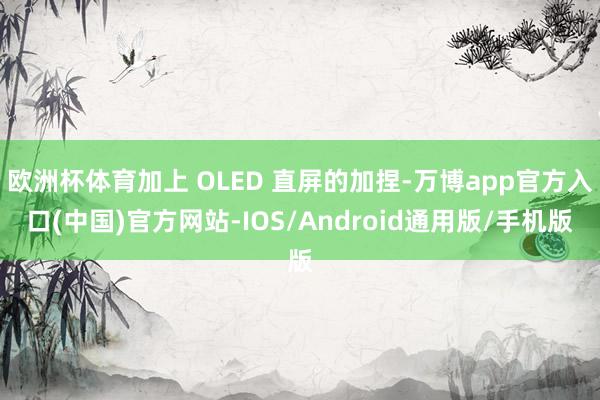 欧洲杯体育加上 OLED 直屏的加捏-万博app官方入口(中国)官方网站-IOS/Android通用版/手机版