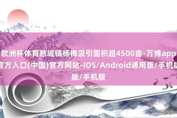 欧洲杯体育慈城镇杨梅汲引面积超4500亩-万博app官方入口(中国)官方网站-IOS/Android通用版/手机版