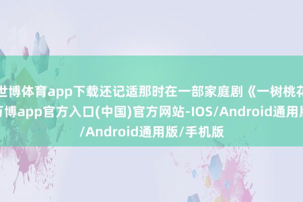 世博体育app下载还记适那时在一部家庭剧《一树桃花开》中-万博app官方入口(中国)官方网站-IOS/Android通用版/手机版