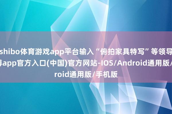 shibo体育游戏app平台输入“俯拍家具特写”等领导后-万博app官方入口(中国)官方网站-IOS/Android通用版/手机版