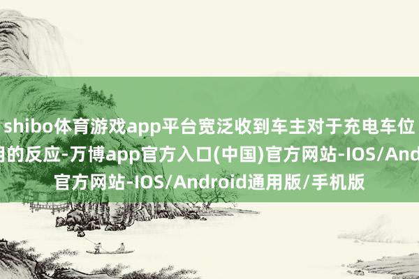 shibo体育游戏app平台宽泛收到车主对于充电车位被充满电的车辆占用的反应-万博app官方入口(中国)官方网站-IOS/Android通用版/手机版