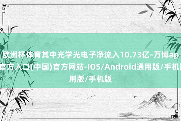 欧洲杯体育其中光学光电子净流入10.73亿-万博app官方入口(中国)官方网站-IOS/Android通用版/手机版