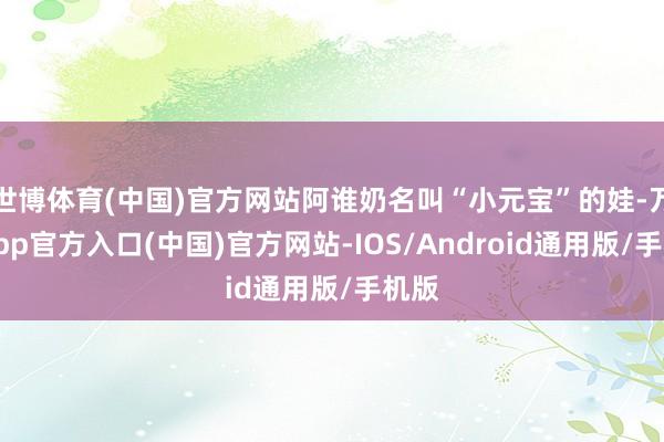 世博体育(中国)官方网站阿谁奶名叫“小元宝”的娃-万博app官方入口(中国)官方网站-IOS/Android通用版/手机版