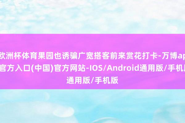 欧洲杯体育果园也诱骗广宽搭客前来赏花打卡-万博app官方入口(中国)官方网站-IOS/Android通用版/手机版