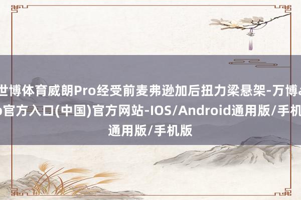世博体育威朗Pro经受前麦弗逊加后扭力梁悬架-万博app官方入口(中国)官方网站-IOS/Android通用版/手机版