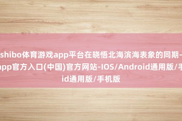shibo体育游戏app平台在晓悟北海滨海表象的同期-万博app官方入口(中国)官方网站-IOS/Android通用版/手机版