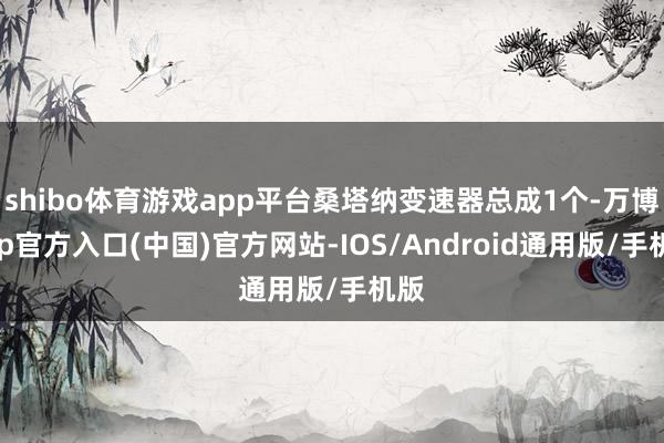 shibo体育游戏app平台桑塔纳变速器总成1个-万博app官方入口(中国)官方网站-IOS/Android通用版/手机版