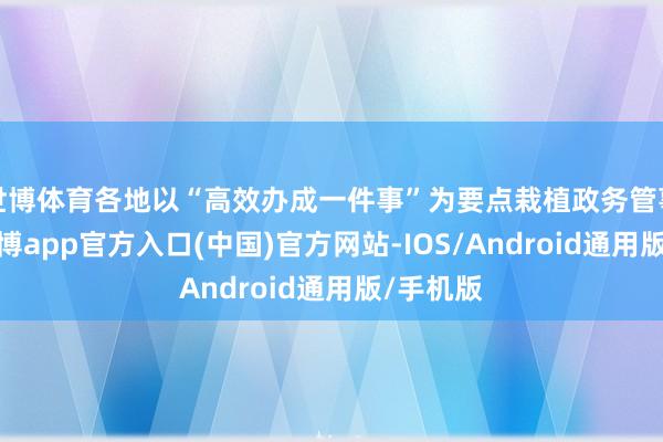 世博体育各地以“高效办成一件事”为要点栽植政务管事水平-万博app官方入口(中国)官方网站-IOS/Android通用版/手机版