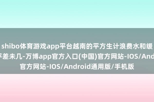 shibo体育游戏app平台越南的平方生计浪费水和缓中国内地的物价水平差未几-万博app官方入口(中国)官方网站-IOS/Android通用版/手机版