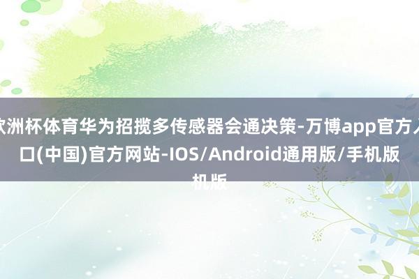 欧洲杯体育华为招揽多传感器会通决策-万博app官方入口(中国)官方网站-IOS/Android通用版/手机版
