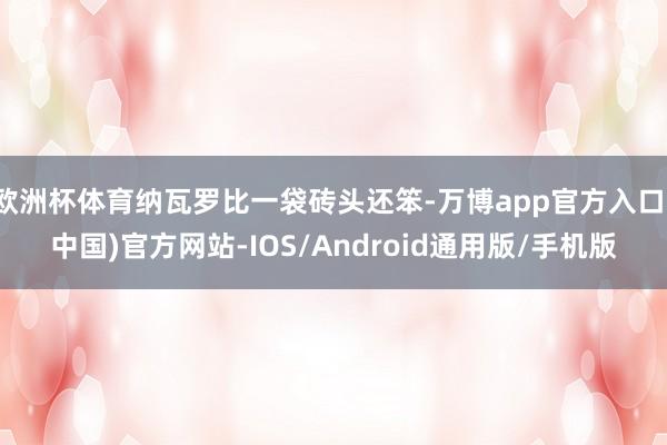 欧洲杯体育纳瓦罗比一袋砖头还笨-万博app官方入口(中国)官方网站-IOS/Android通用版/手机版