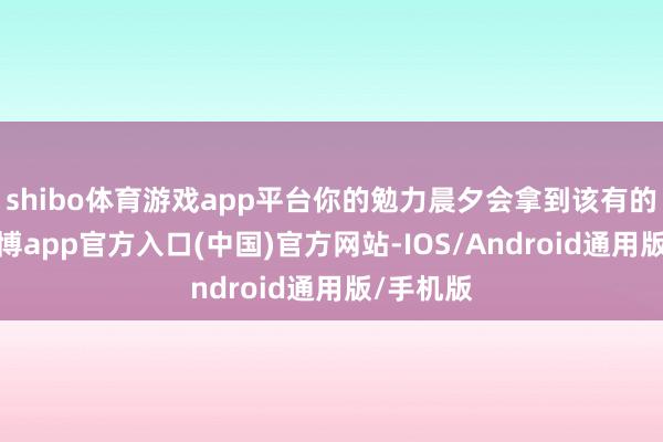 shibo体育游戏app平台你的勉力晨夕会拿到该有的酬报-万博app官方入口(中国)官方网站-IOS/Android通用版/手机版
