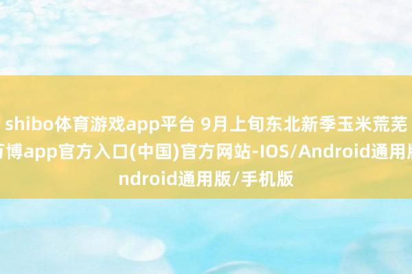 shibo体育游戏app平台 9月上旬东北新季玉米荒芜上市前-万博app官方入口(中国)官方网站-IOS/Android通用版/手机版