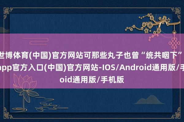 世博体育(中国)官方网站可那些丸子也曾“统共咽下”-万博app官方入口(中国)官方网站-IOS/Android通用版/手机版