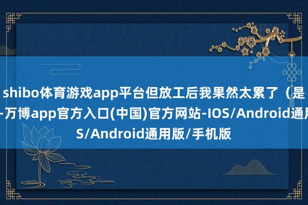 shibo体育游戏app平台但放工后我果然太累了（是以玩不动）-万博app官方入口(中国)官方网站-IOS/Android通用版/手机版