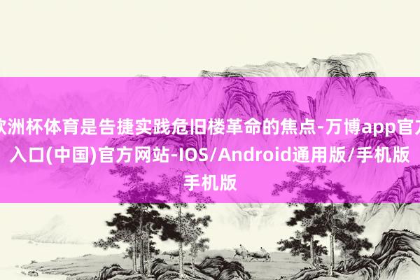 欧洲杯体育是告捷实践危旧楼革命的焦点-万博app官方入口(中国)官方网站-IOS/Android通用版/手机版