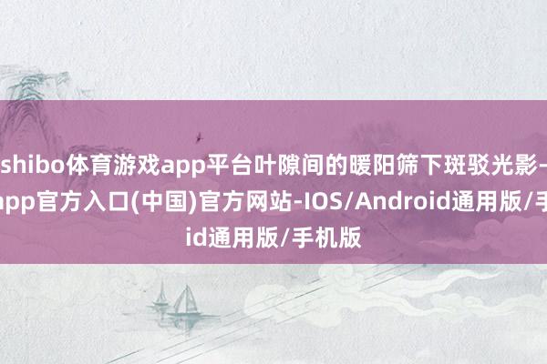 shibo体育游戏app平台叶隙间的暖阳筛下斑驳光影-万博app官方入口(中国)官方网站-IOS/Android通用版/手机版