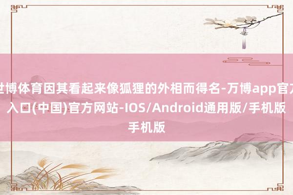 世博体育因其看起来像狐狸的外相而得名-万博app官方入口(中国)官方网站-IOS/Android通用版/手机版